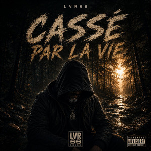 Cassé par la vie by LVR66
