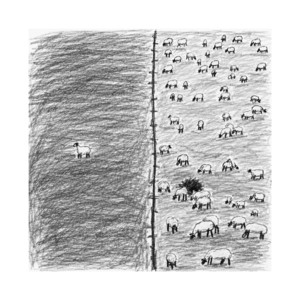 Off the Radar by Amrit Kalam, ATHSAUATH, Premium