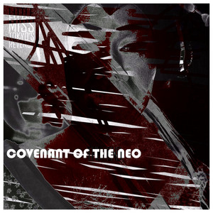 COVENANT OF THE NEO - A Wonderful Next