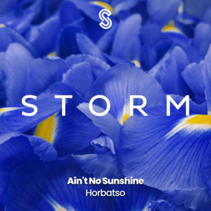 Ain't No Sunshine (Radio Edit)