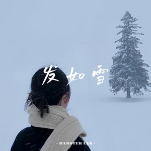 髮如雪 - Hair Like Snow by HAMSTER LAB