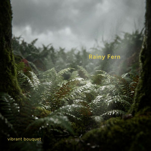 Rainy Fern by Vibrant Bouquet