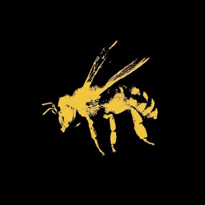 Cod3break — BEE BASS