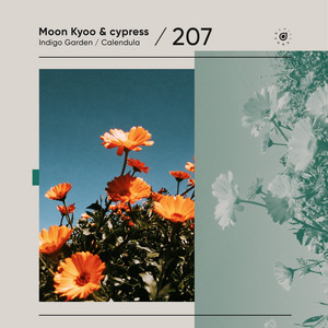 Indigo Garden album cover