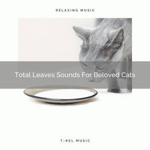 Total Leaves Sounds For Beloved Cats album