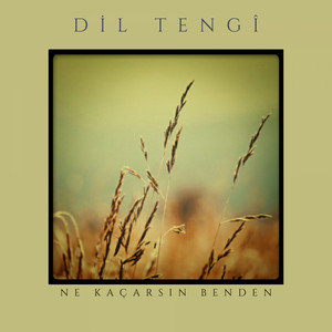 Ne Kaçarsın Benden by Dil Tengi