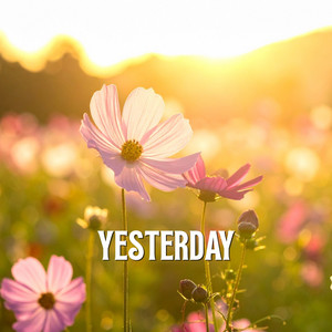 Yesterday by Calamar Negro