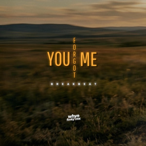 You Forgot Me Breakbeat by Whyn Fvnky Rmx