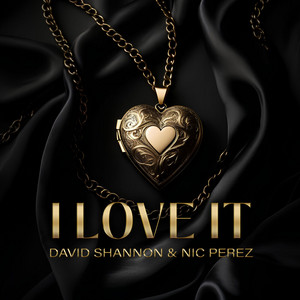 David Shannon & Nic Perez - I Love It