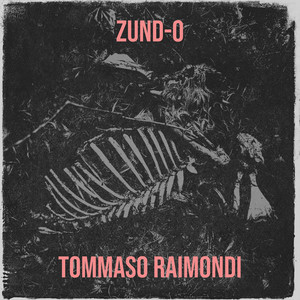 album cover: ZUND-O