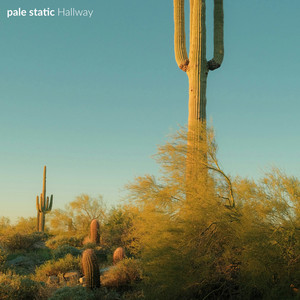 wide open by pale static