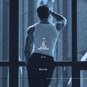 Don't Go by MISTER DEEP HOUSE