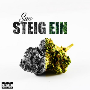 Portada de Steig ein