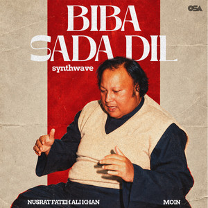 Biba Sada Dil (Synthwave)