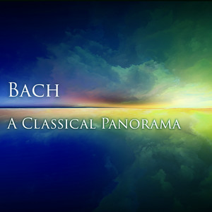 Panorama cover