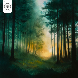 Green Shade by Everwoods