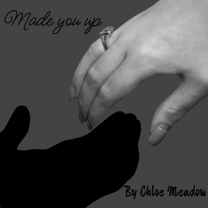 Made You Up by Chloe Meadow