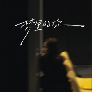 梦里的你(梦里的梦梦里的你) [伴奏]