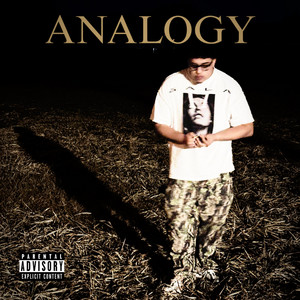 analogy