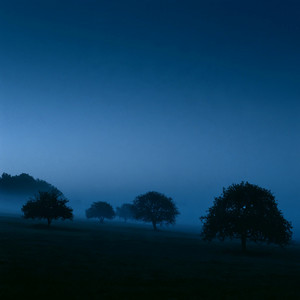 Almost Asleep by Room Tone