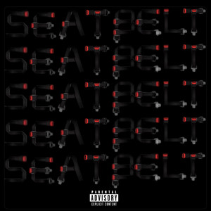 SEAT BELT by Fiji_slayed_may
