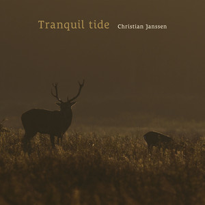 Tranquil tide by Christian Janssen