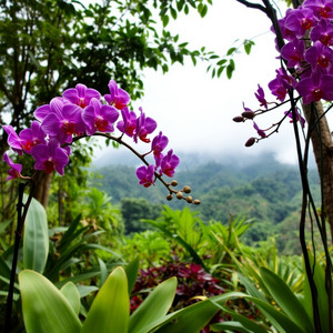 Elzanthera Maviel Douravento - I'm Begging for Closure