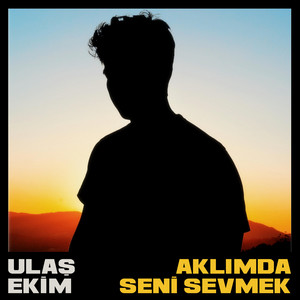 Aklımda Seni Sevmek