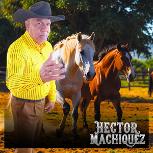 Indecisa by Hector Machiquez