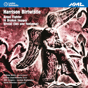 Portada de Angel Fighter