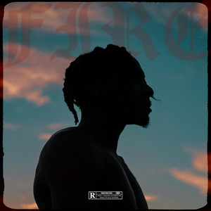 Portada de Fire