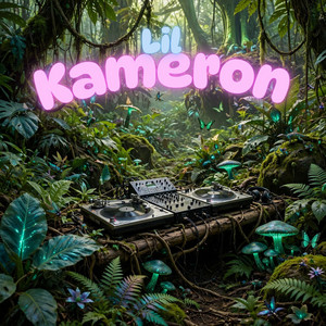 without feeling by lil kameron