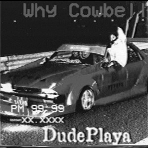 Why Cowbell