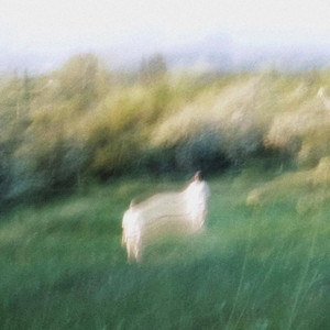 Pretend by Caleb Jordan
