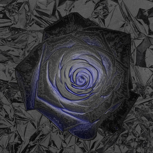 Rose by AWU