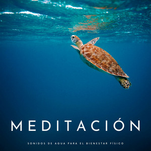 Meditación: Sonidos De Agua Para El Bienestar Físico album
