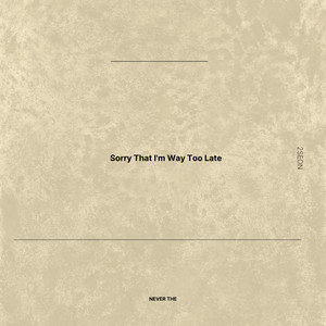Sorry That I'm Way Too Late by 2Seon