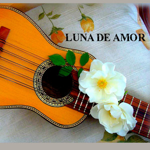 Music festival Andina - LUNA DE AMOR CUICOCHA