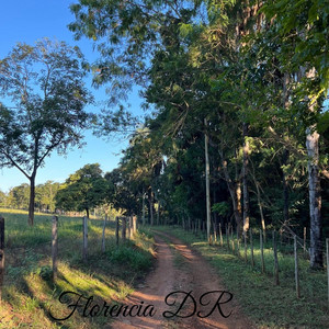 Semana pasada by Florencia DR