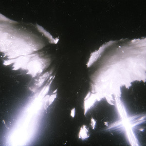 Angel by CHANMIN