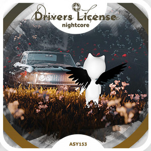 Neko & Tazzy - Drivers License - Nightcore