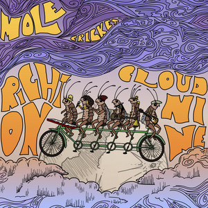 Mole Cricket - Right on Cloud Nine
