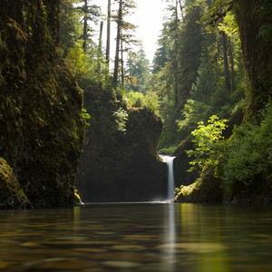 PS MUSIC - 安静的生活