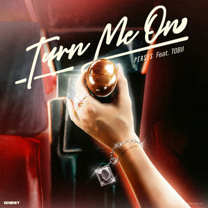 PERSES - TURN ME ON (feat. Tobii)