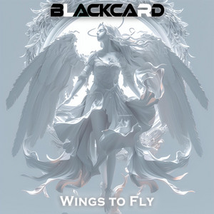 Wings to Fly by Black Card