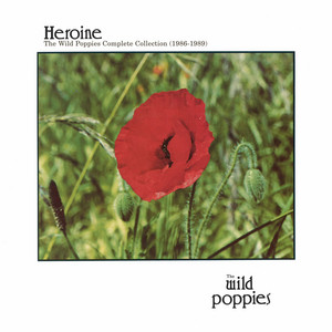 Introduction by The Wild Poppies