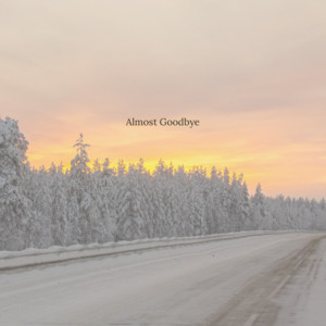 Almost Goodbye by Elio Esyro