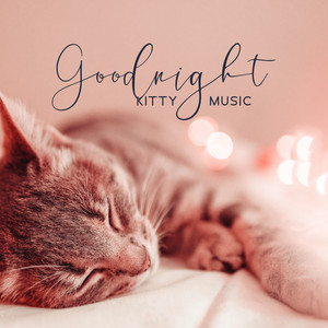 Goodnight Kitty Music: Sleeping Pet Music, Cuddles With Cats, Best ...