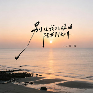 別讓我的眼淚陪我到天明（DJ豪大大版） by 田园