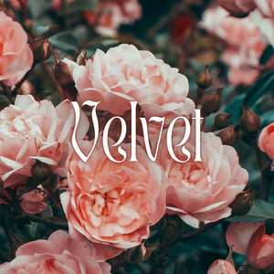 Velvet by Luther Smith